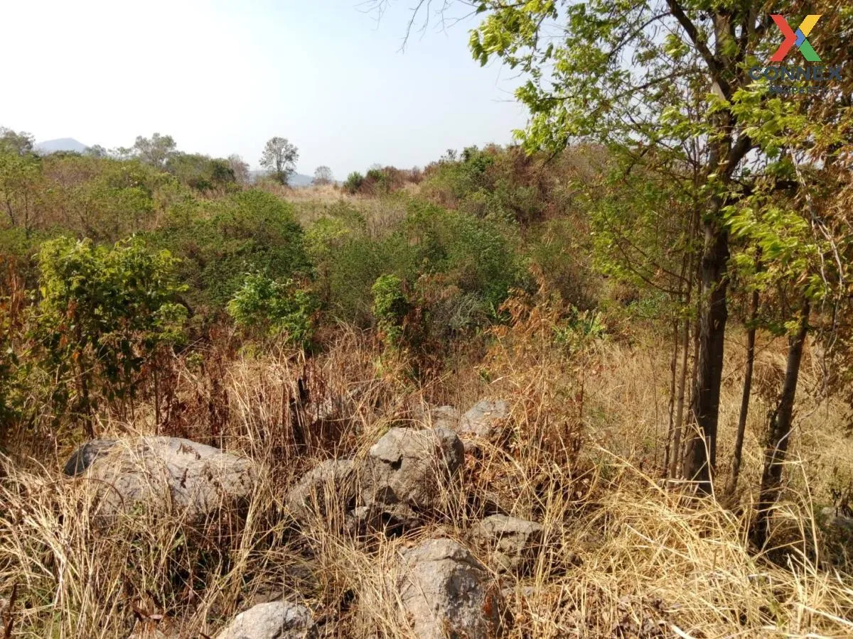 ขายที่ดินเปล่า ศรีราชา ชลบุรี ซอย สนิททยาน หนองขาม ศรีราชา ชลบุรี