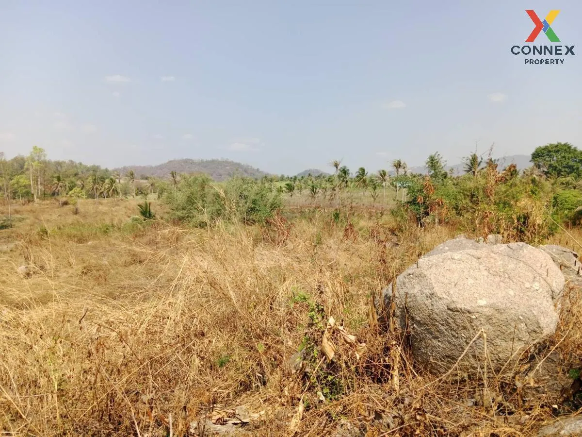 ขายที่ดินเปล่า ศรีราชา ชลบุรี ซอย สนิททยาน หนองขาม ศรีราชา ชลบุรี