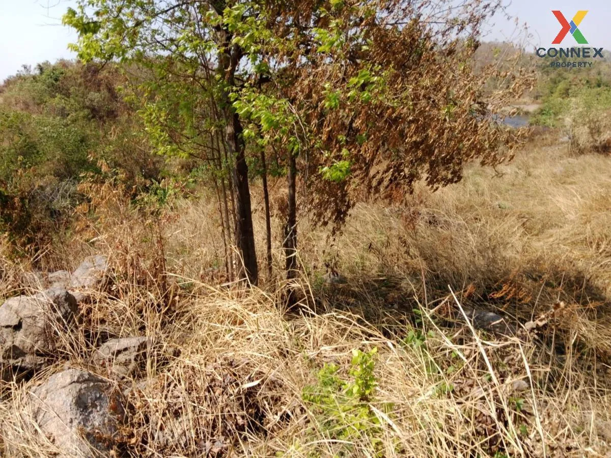 ขายที่ดินเปล่า ศรีราชา ชลบุรี ซอย สนิททยาน หนองขาม ศรีราชา ชลบุรี