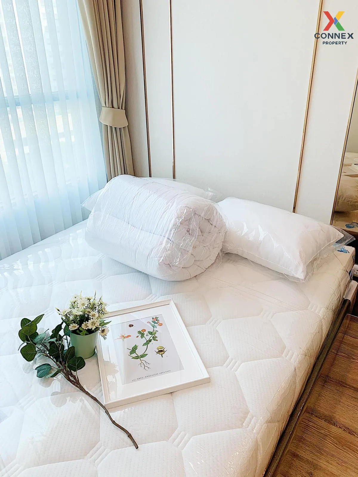 For Rent Condo , Knightsbridge Collage Ramkhamhaeng , Hua Mak , B