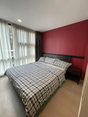 For Rent Condo , D 65 , BTS-Phra Khanong , Phra Khanong Nuea , Watthana , Bangkok , CX-91652