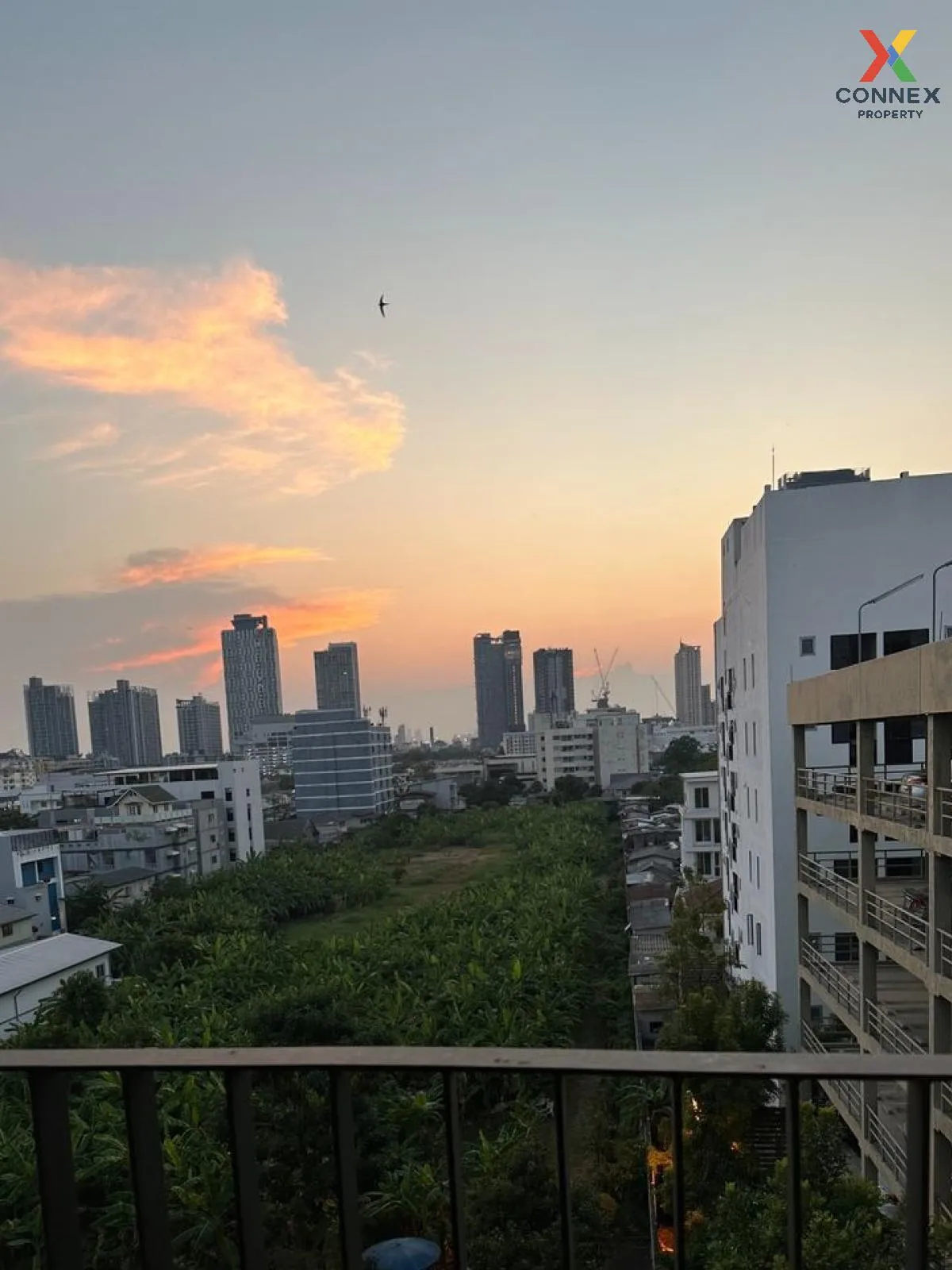 For Rent Condo , IKON Sukhumvit 77 , BTS-On Nut , Suan Luang , Su