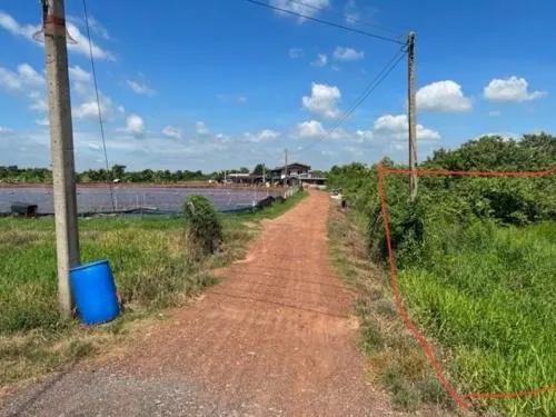 For Sale land, Chachoengsao, next to the Bang Pakong River. , nice view , river view , Bang Krachet , Bang Khla , Chachoengsao , CX-92332