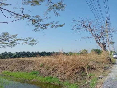 ขายที่ดิน 1 ไร่ ไทรน้อย ราษฎร์นิยม ไทรน้อย นนทบุรี CX-92350