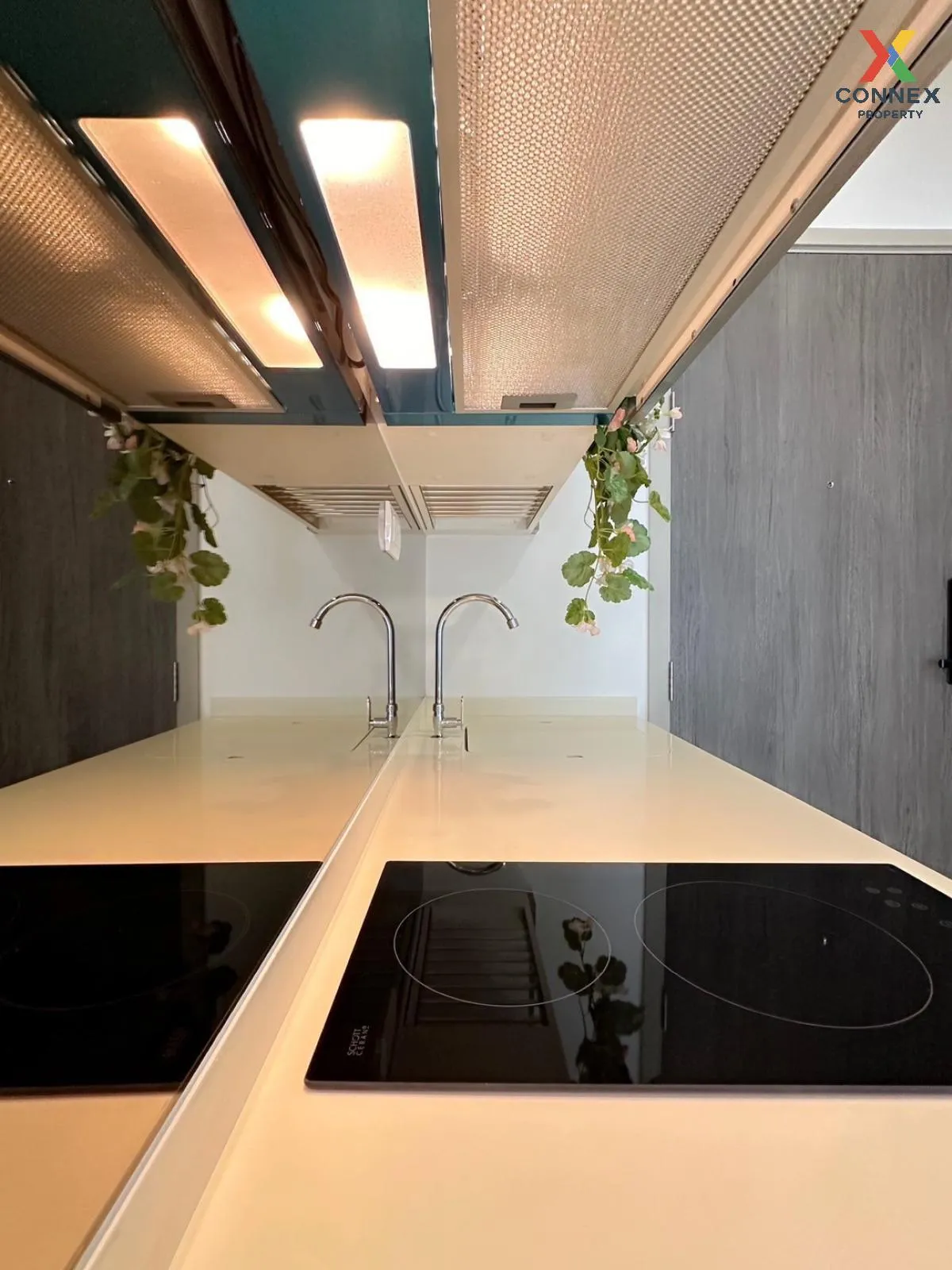 For Rent Condo , The Rich Rama 9 - Srinakarin , ARL-Hua Mak , Sua For Rent Condo , The Rich Rama 9 - Srinakarin , ARL-Hua Mak , Sua