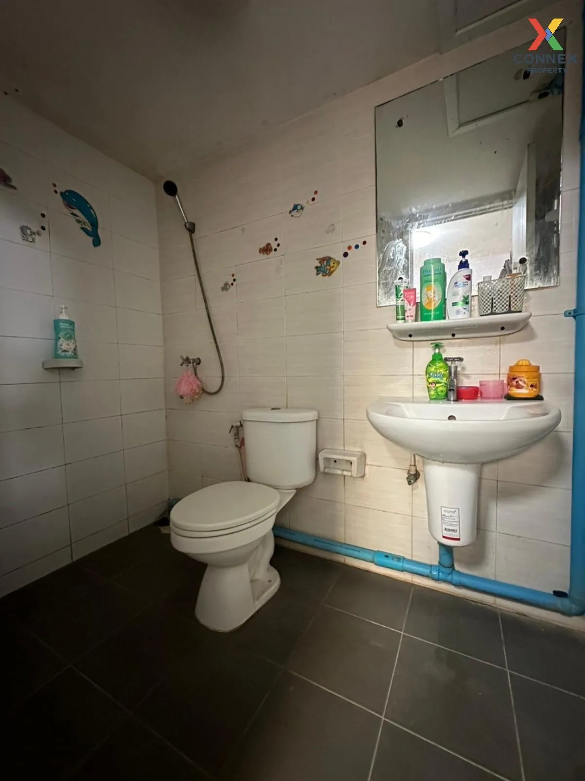 ขายทาวน์เฮ้าส์/ทาวน์โฮม  พฤกษาวิลล์ 38/1 หนามแดง-เทพารักษ์ บางแก้ ขายทาวน์เฮ้าส์/ทาวน์โฮม  พฤกษาวิลล์ 38/1 หนามแดง-เทพารักษ์ บางแก้