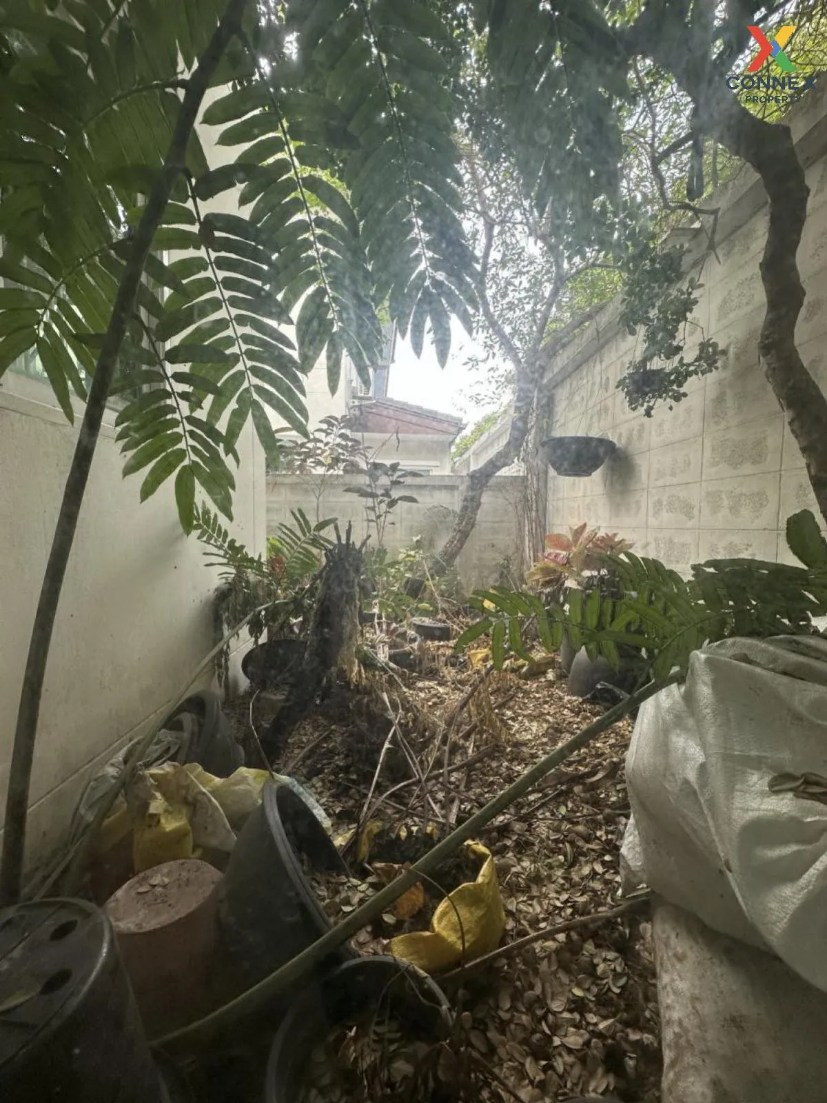 ขายบ้าน  บ้านเพลิน ราชพฤกษ์ บางเลน บางใหญ่ นนทบุรี CX-92805