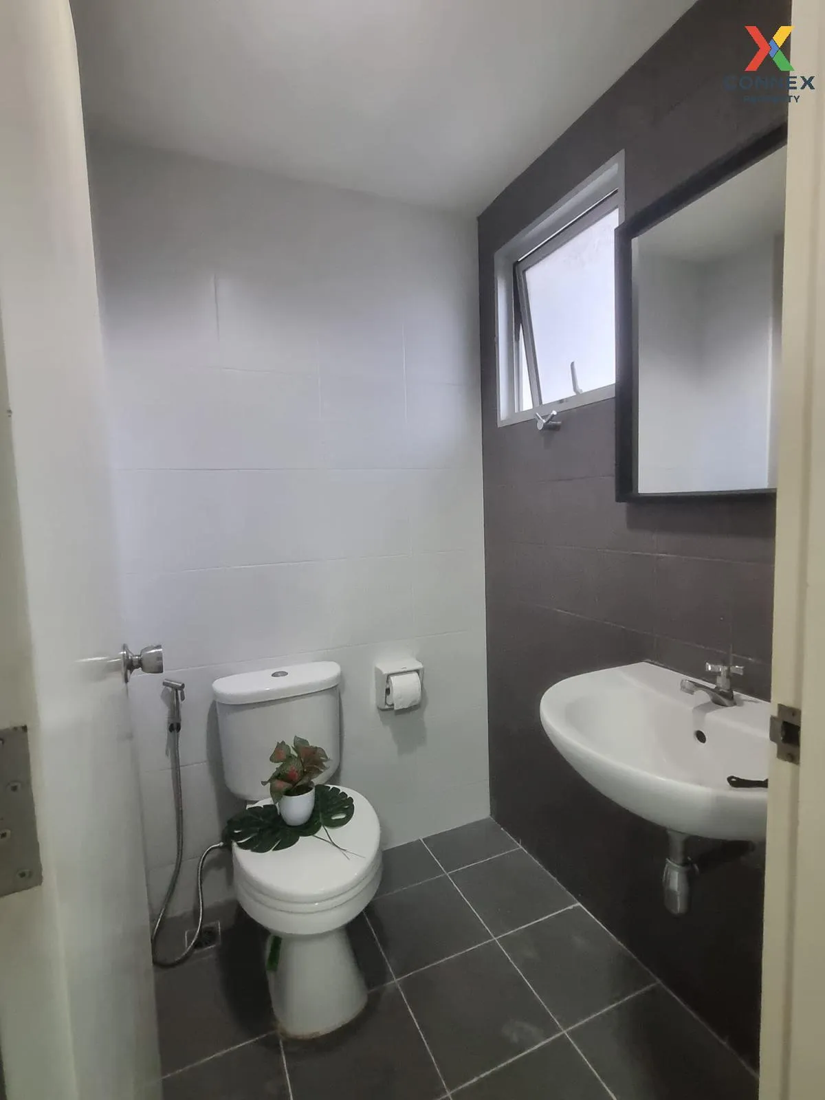 เช่าคอนโด  มาย คอนโด สุขุมวิท 52 BTS-อ่อนนุช บางจาก เขต พระโขนง ก