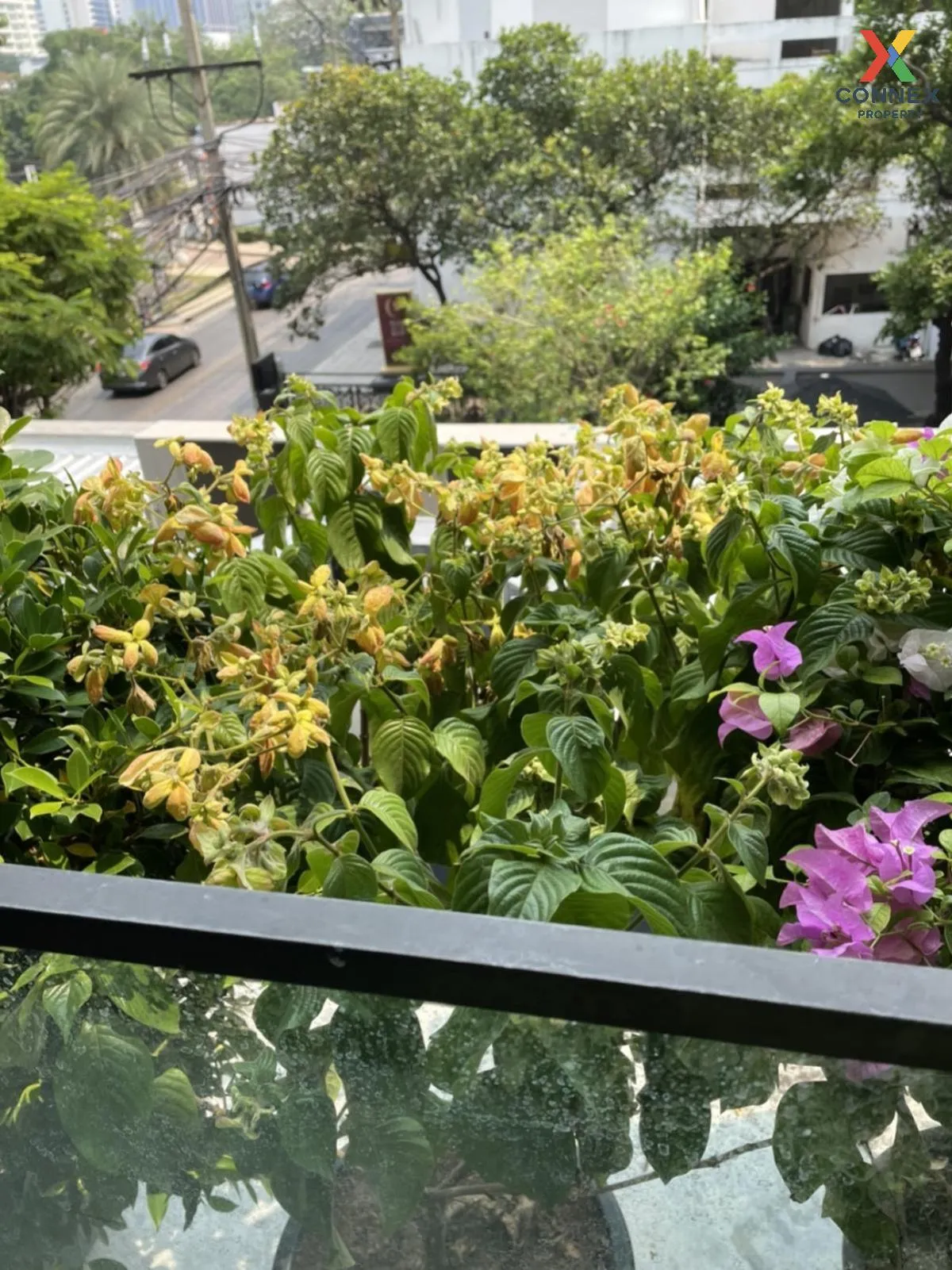 For Rent Condo , Walden Asoke , MRT-Sukhumvit , Khlong Toei Nuea 