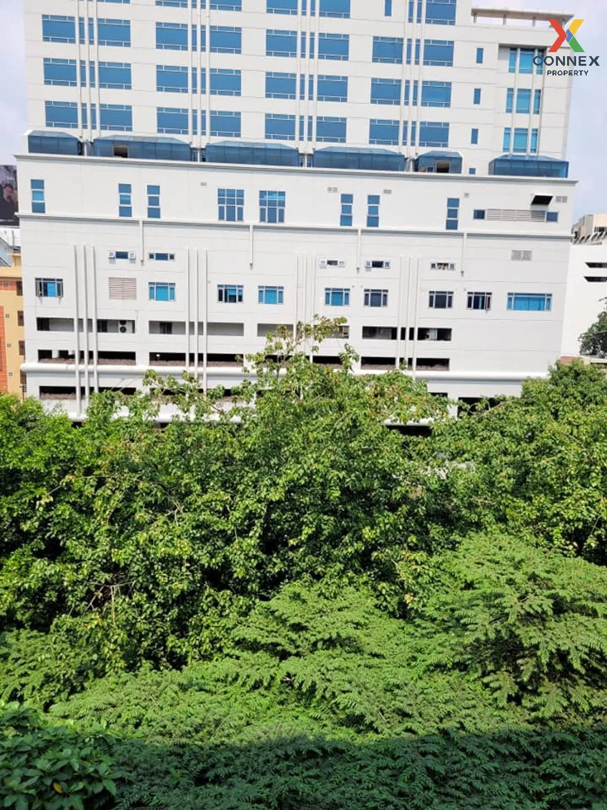 เช่าคอนโด  โฟกัส เพลินจิต BTS-เพลินจิต คลองเตย เขต คลองเตย กรุงเท