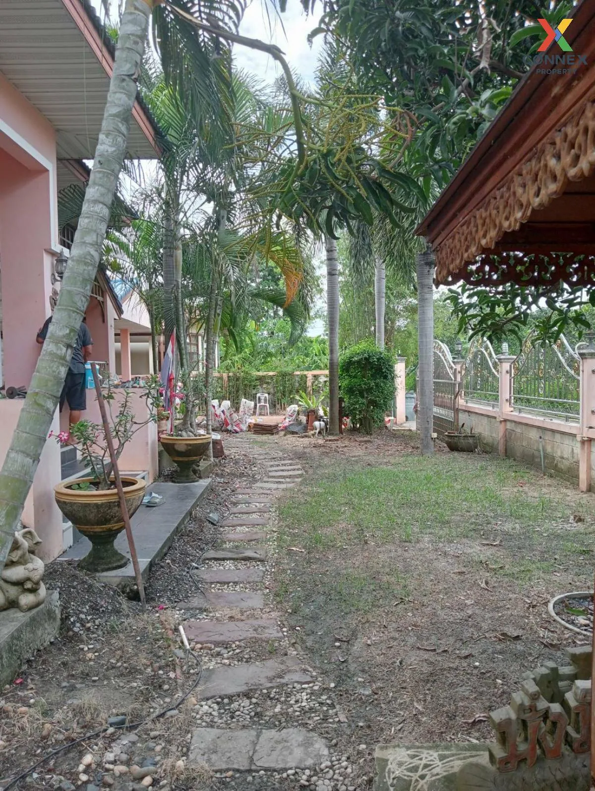 ขายบ้านสวน นนทบุรี หน้ากว้าง บางรักใหญ่ บางบัวทอง นนทบุรี CX-946 ขายบ้านสวน นนทบุรี หน้ากว้าง บางรักใหญ่ บางบัวทอง นนทบุรี CX-946 4