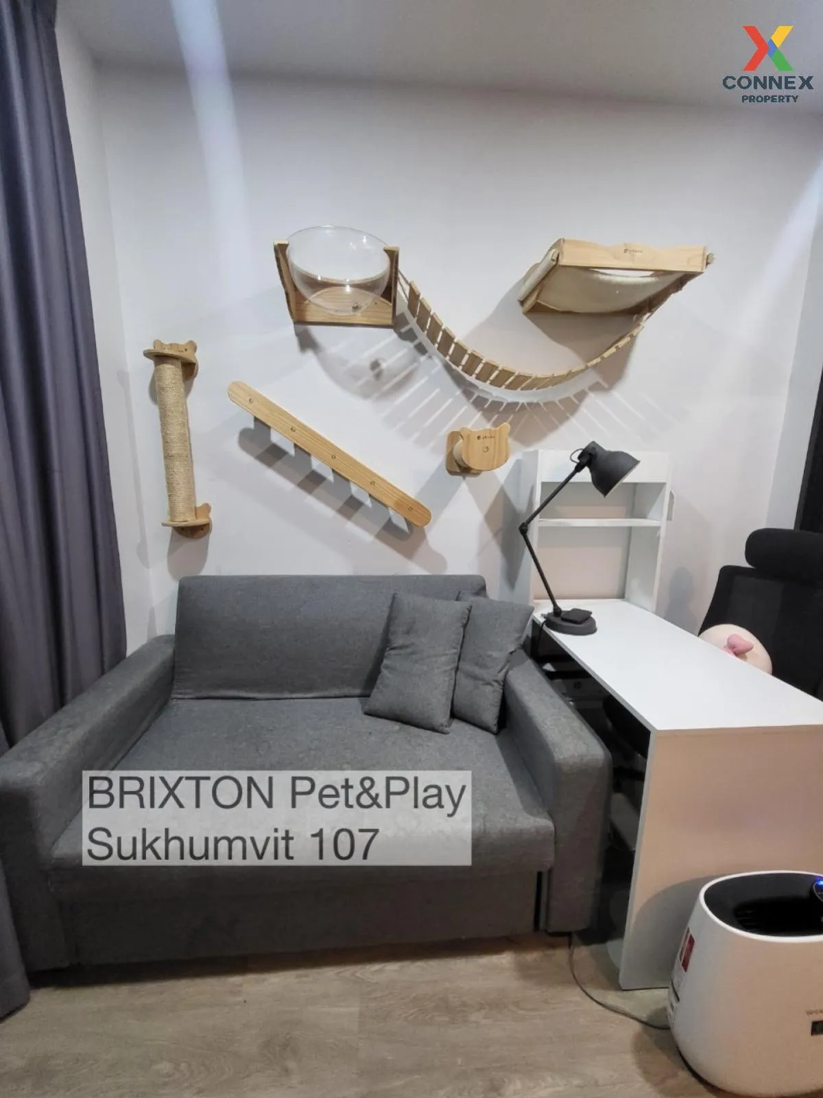For Rent Condo , BRIXTON Pet&Play Sukhumvit 107 , BTS-Bearing , S 2