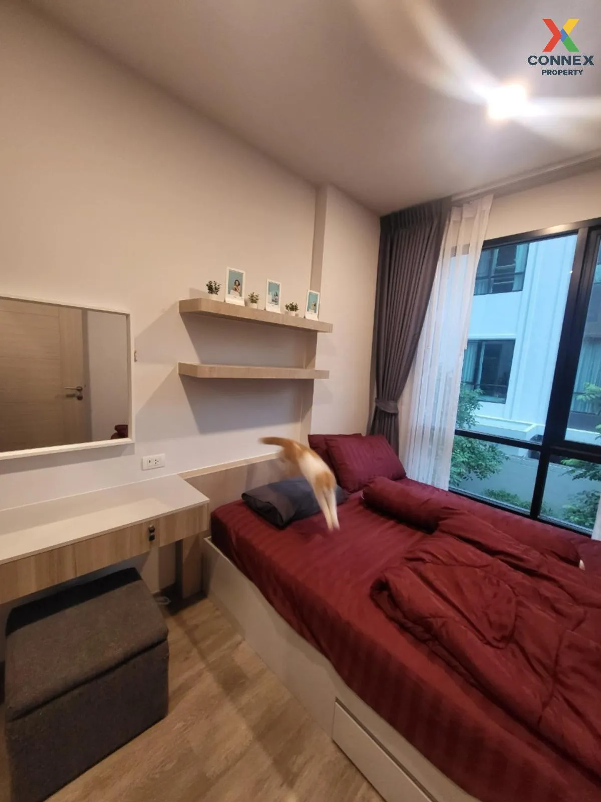 For Rent Condo , BRIXTON Pet&Play Sukhumvit 107 , BTS-Bearing , S