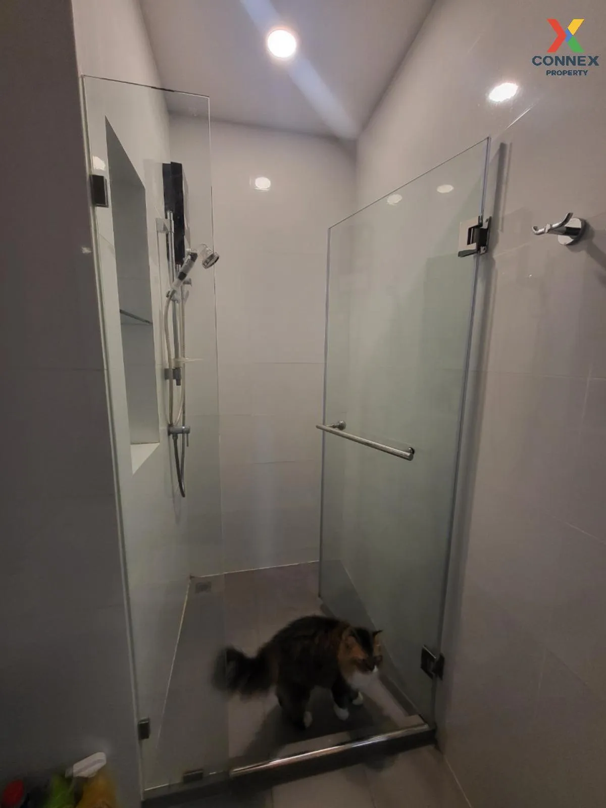 For Rent Condo , BRIXTON Pet&Play Sukhumvit 107 , BTS-Bearing , S