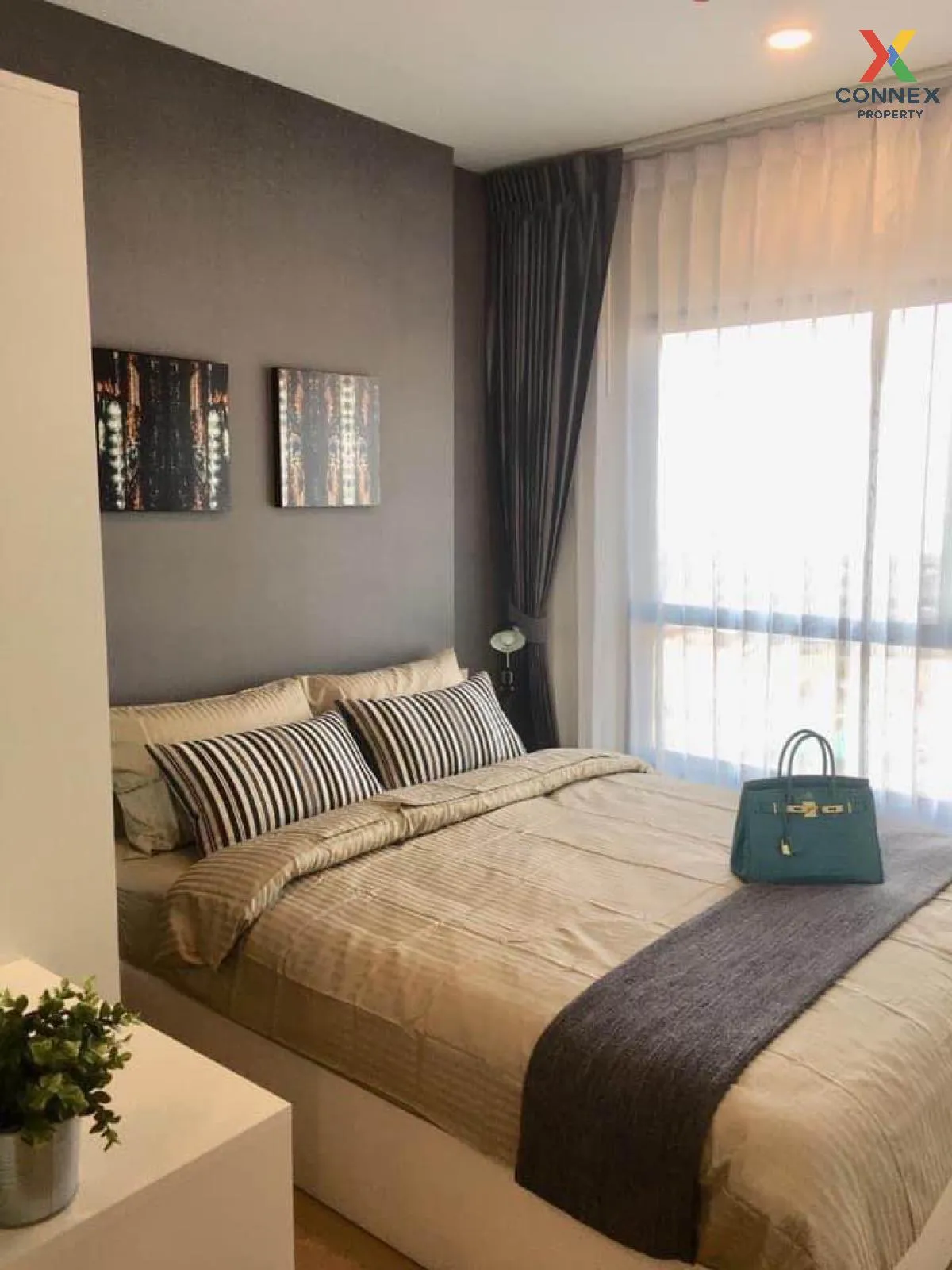 For Rent Condo , The Tree Sukhumvit 71 , ARL-Ramkhamhaeng , Suan  1