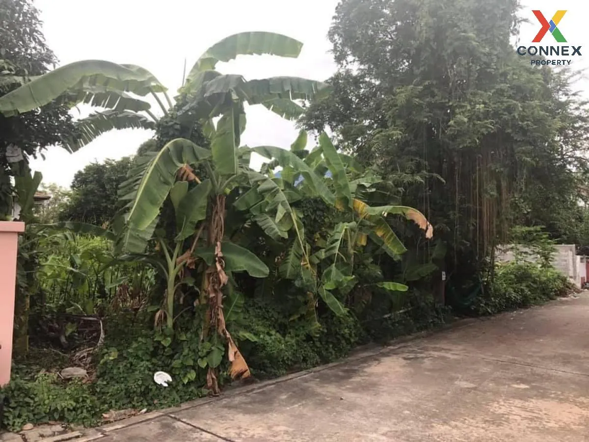 ขายที่ดินเปล่า ในซอย ติวานนท์ 27 ท่าทราย เมืองนนทบุรี นนทบุรี CX- 1