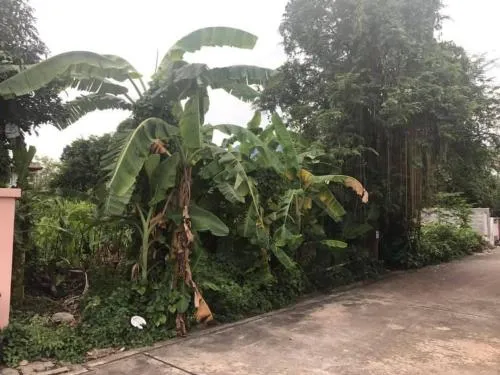 ขายที่ดินเปล่า ในซอย ติวานนท์ 27 ท่าทราย เมืองนนทบุรี นนทบุรี CX-96814