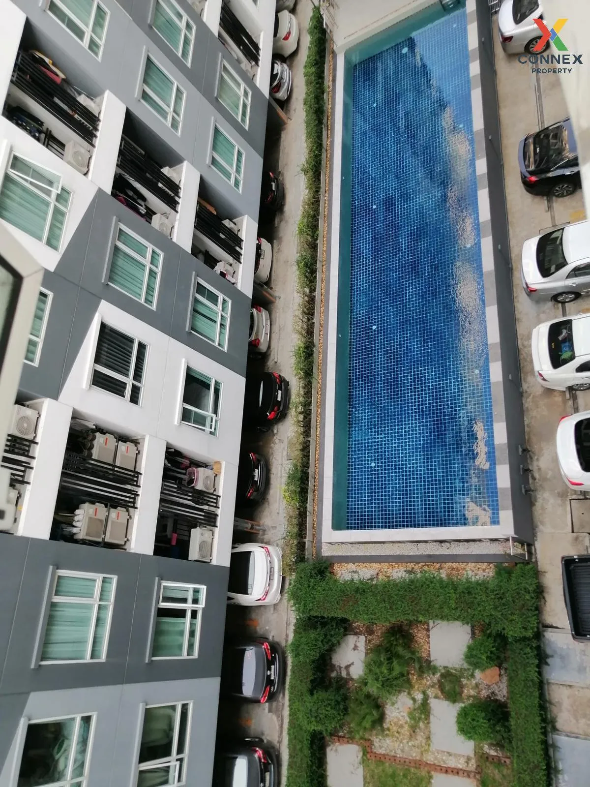 For Rent Condo , Regent Home Sukhumvit 81 , BTS-On Nut , Suan Lua