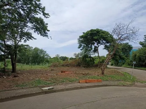 For Sale Land , Sivalee Rangsit 1 , Pracha Thipat , Thanyaburi , Pathum Thani , CX-97263