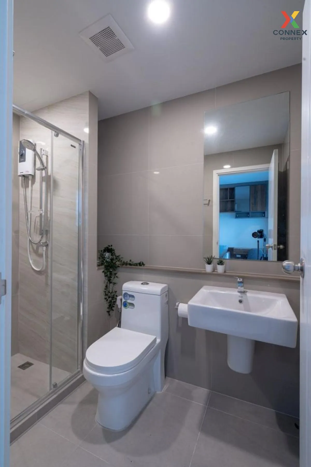 For Rent Condo , The Tree Sukhumvit 71 , ARL-Ramkhamhaeng , Suan 