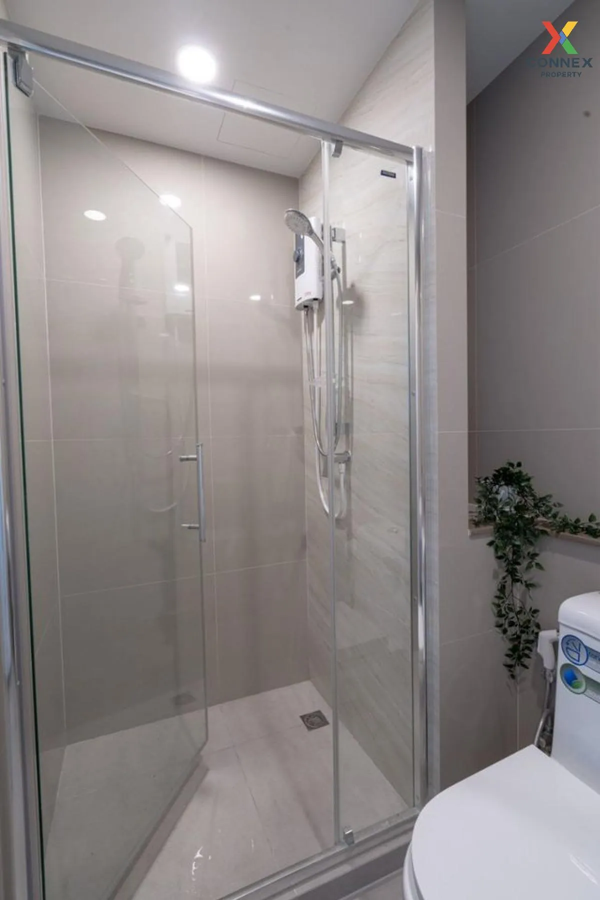 For Rent Condo , The Tree Sukhumvit 71 , ARL-Ramkhamhaeng , Suan 