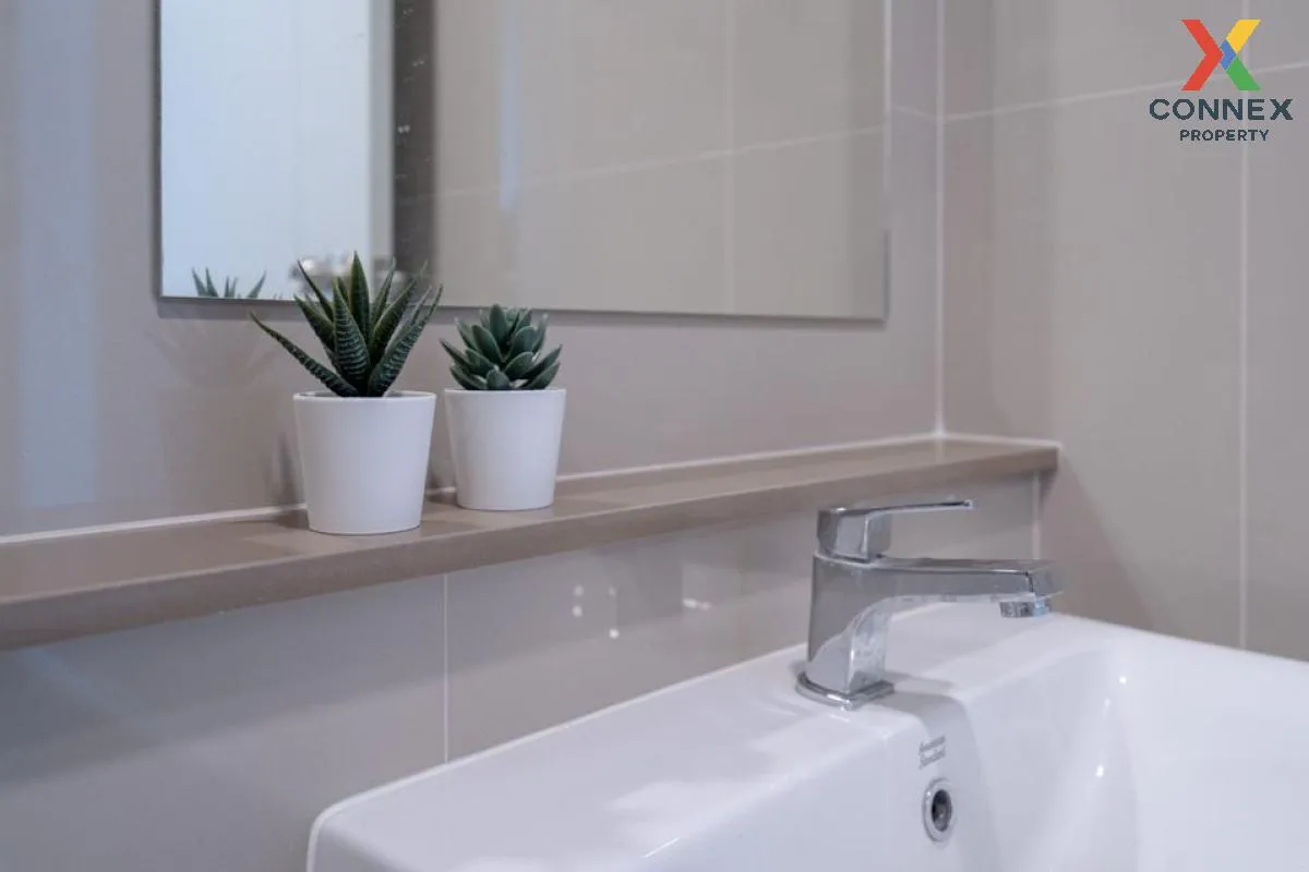 For Rent Condo , The Tree Sukhumvit 71 , ARL-Ramkhamhaeng , Suan 