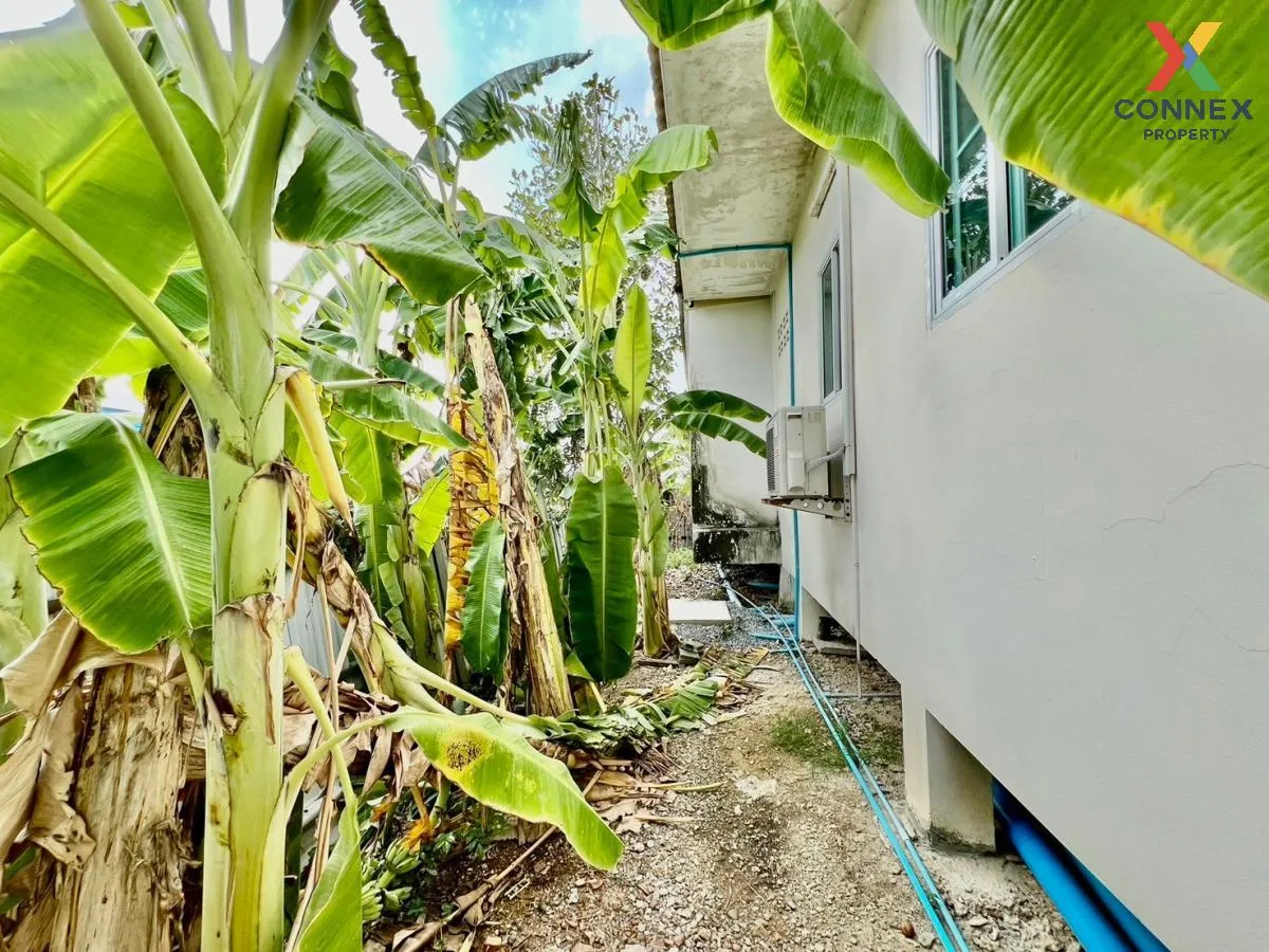 ขายบ้านเดี่ยว เลียบคลองภาษีเจริญฝั่งใต้ ซอย3 หนองแขม เขต หนองแขม 