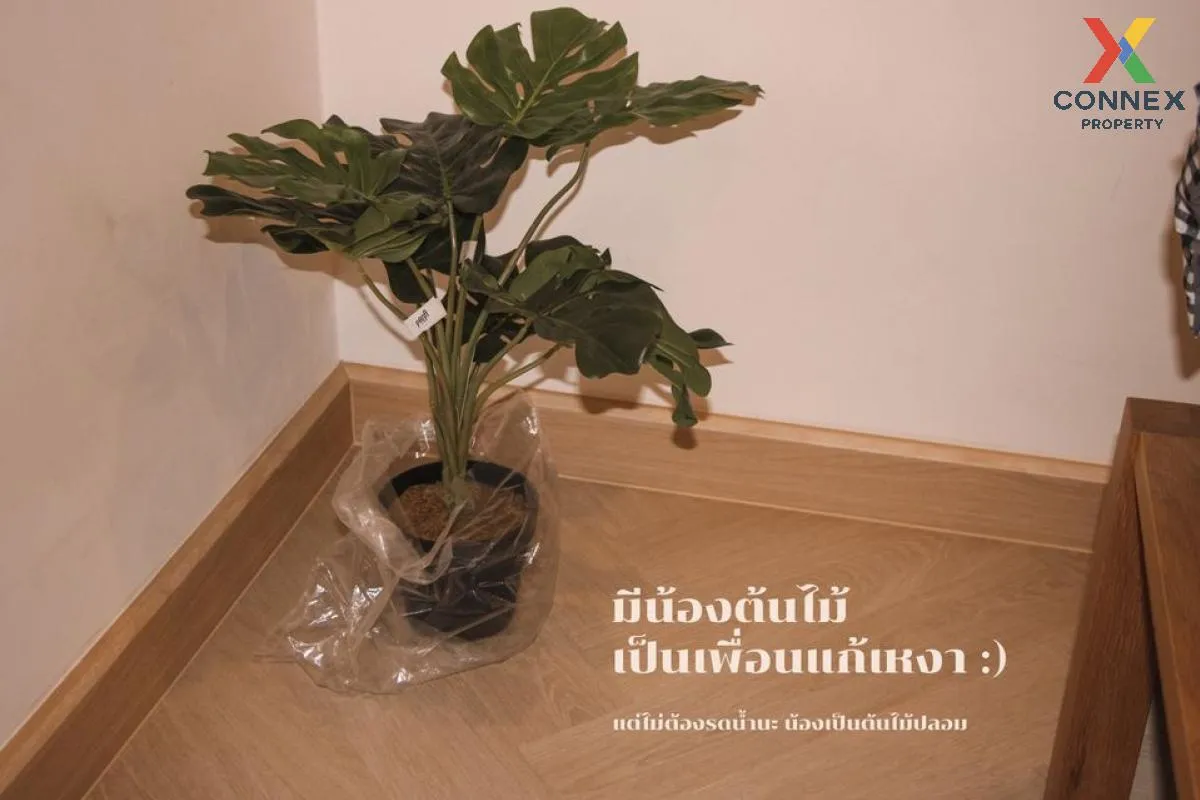 For Rent Condo , Ideo Q Chula-Samyan , MRT-Sam Yan , Bang Rak , B