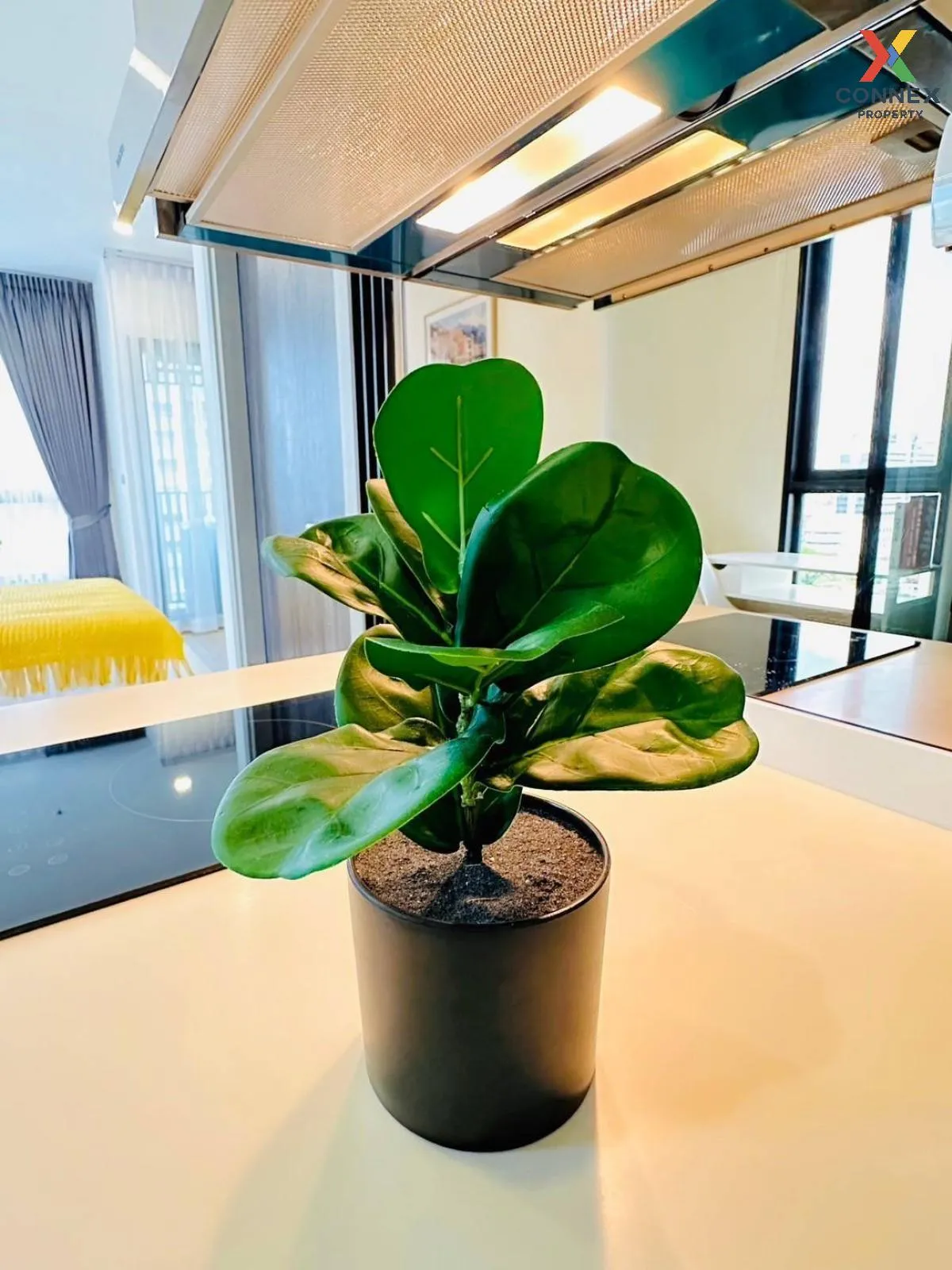 For Rent Condo , The Rich Rama 9 - Srinakarin , ARL-Hua Mak , Sua For Rent Condo , The Rich Rama 9 - Srinakarin , ARL-Hua Mak , Sua