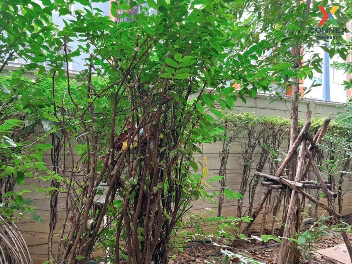 For Sale Condo , Plum Condo Bangyai Station , MRT-Khong Bang Phai For Sale Condo , Plum Condo Bangyai Station , MRT-Khong Bang Phai