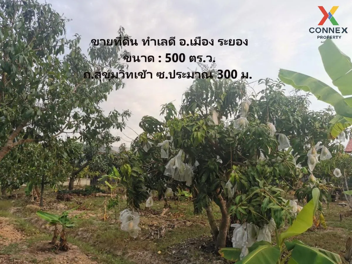 Land for sale, 1 rai 1 ngan, good location, Mueang District, Rayo