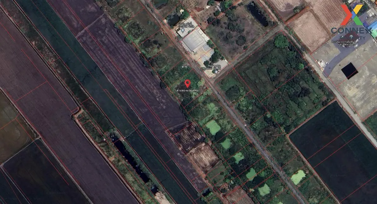 ขายที่ดินเปล่า 1 ไร่ แขวงลำต้อยติ่ง เขตหนองจอก(เจียระดับ) กรุงเทพ 1