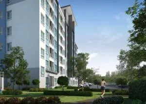 THE KITH Lamlukka Klong 2 THE KITH Lamlukka Klong 2