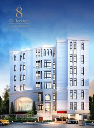 The 8 Collection The 8 Collection