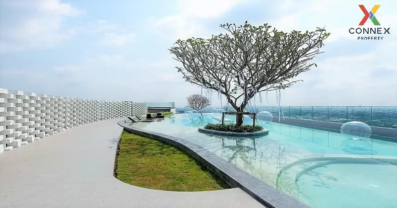 For Rent Condo , The Tree Sukhumvit 71 , ARL-Ramkhamhaeng , Suan 