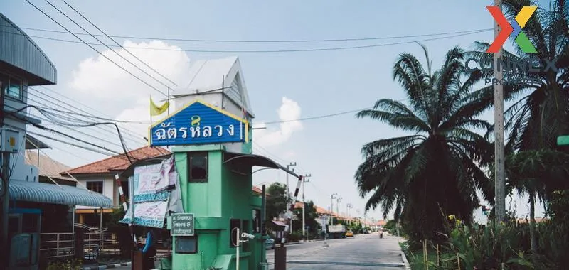 ขายบ้าน  ฉัตรหลวง 8 สามโคก สามโคก ปทุมธานี CX-116270