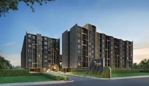 THE BASE Ratchada 19 THE BASE Ratchada 19