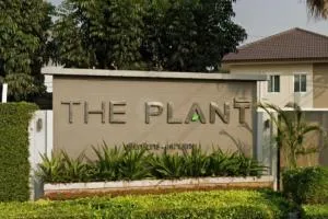 The Plant Srinakarin - Namdaeng The Plant Srinakarin - Namdaeng