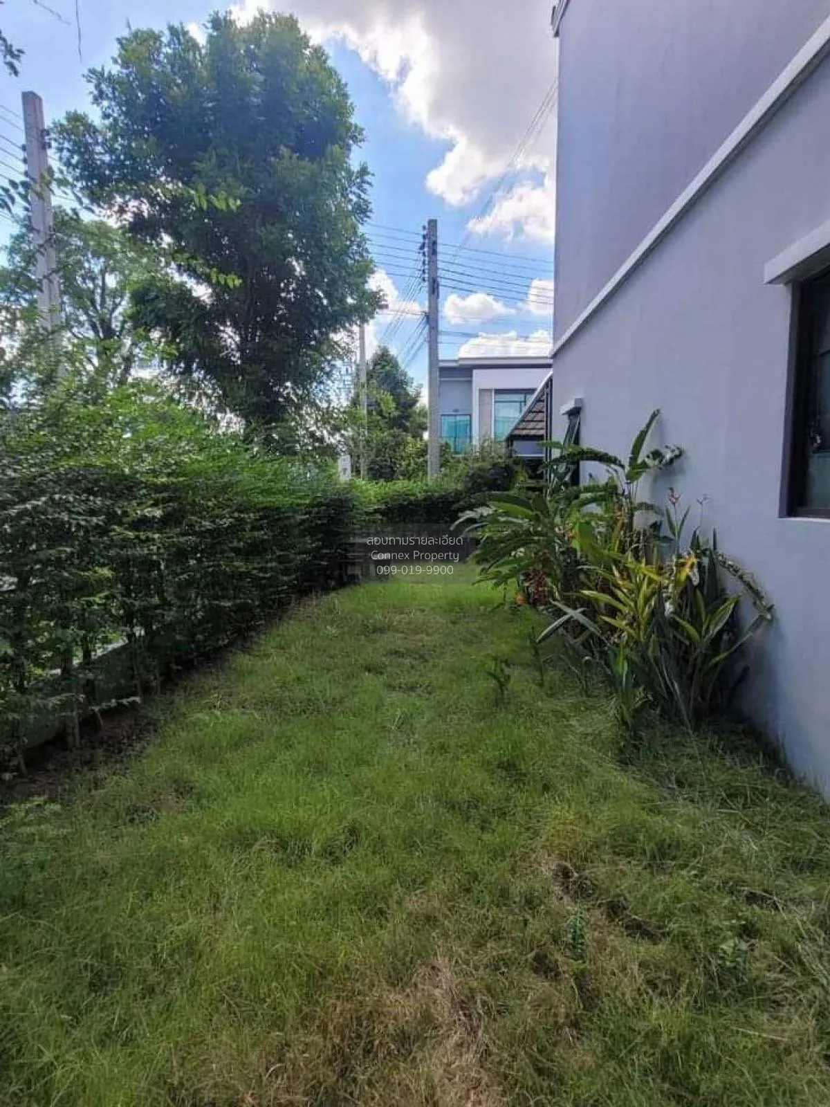 ขายทาวน์เฮ้าส์/ทาวน์โฮม  พลีโน่ รามอินทรา – วงแหวน บางชัน เขต คลอ 4