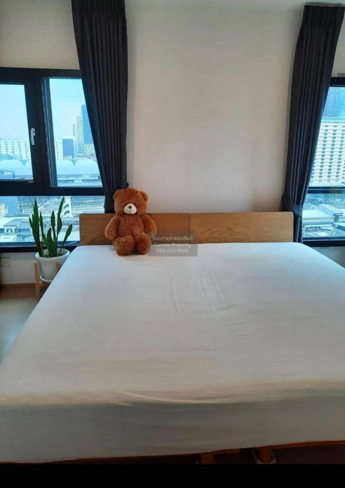 For Rent Condo , The Tree Sukhumvit 71 , ARL-Ramkhamhaeng , Suan 