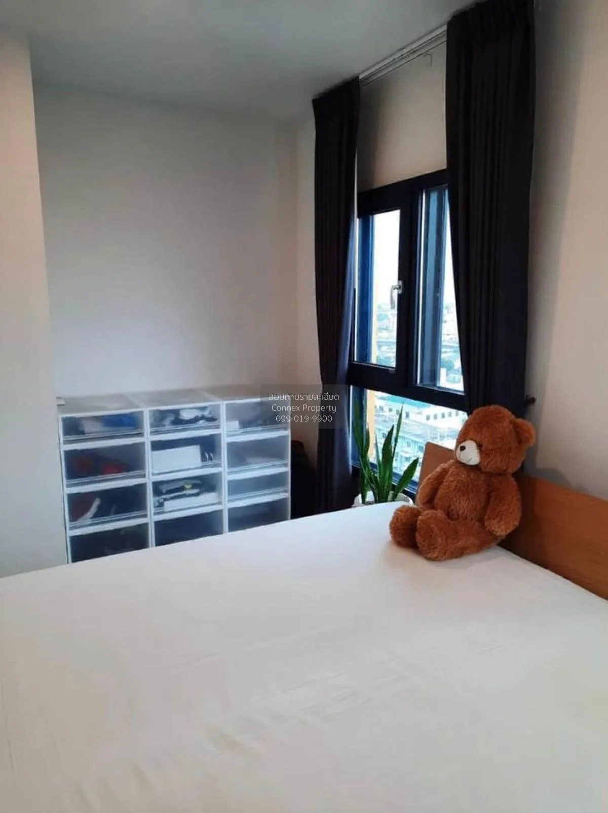 For Rent Condo , The Tree Sukhumvit 71 , ARL-Ramkhamhaeng , Suan 