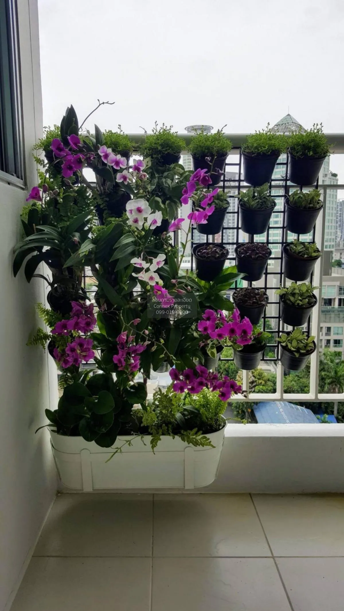 For Sale Condo , Life @ Sukhumvit 65 , BTS-Ekkamai , Phra Khanong