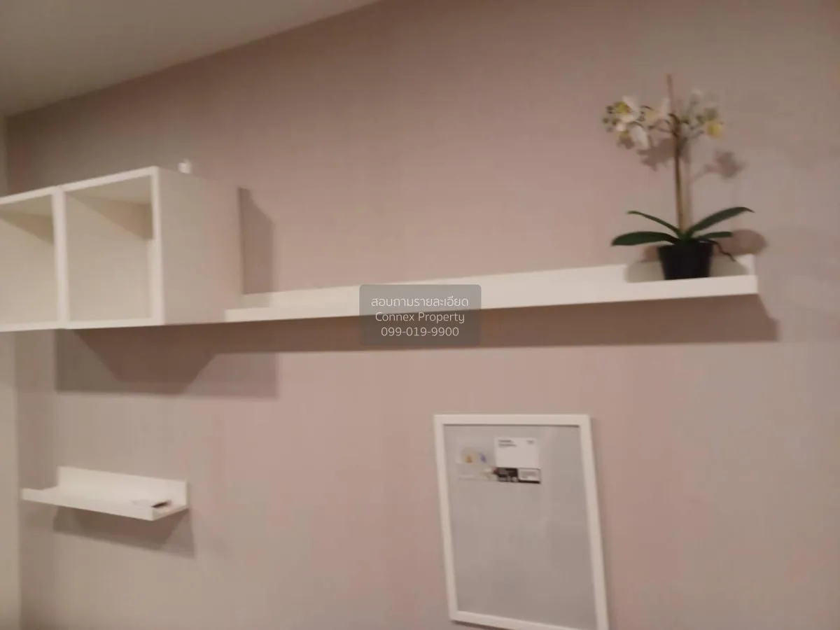 ขายคอนโด  เคฟ คอนโด รังสิต คลองหนึ่ง คลองหลวง ปทุมธานี CX-131699