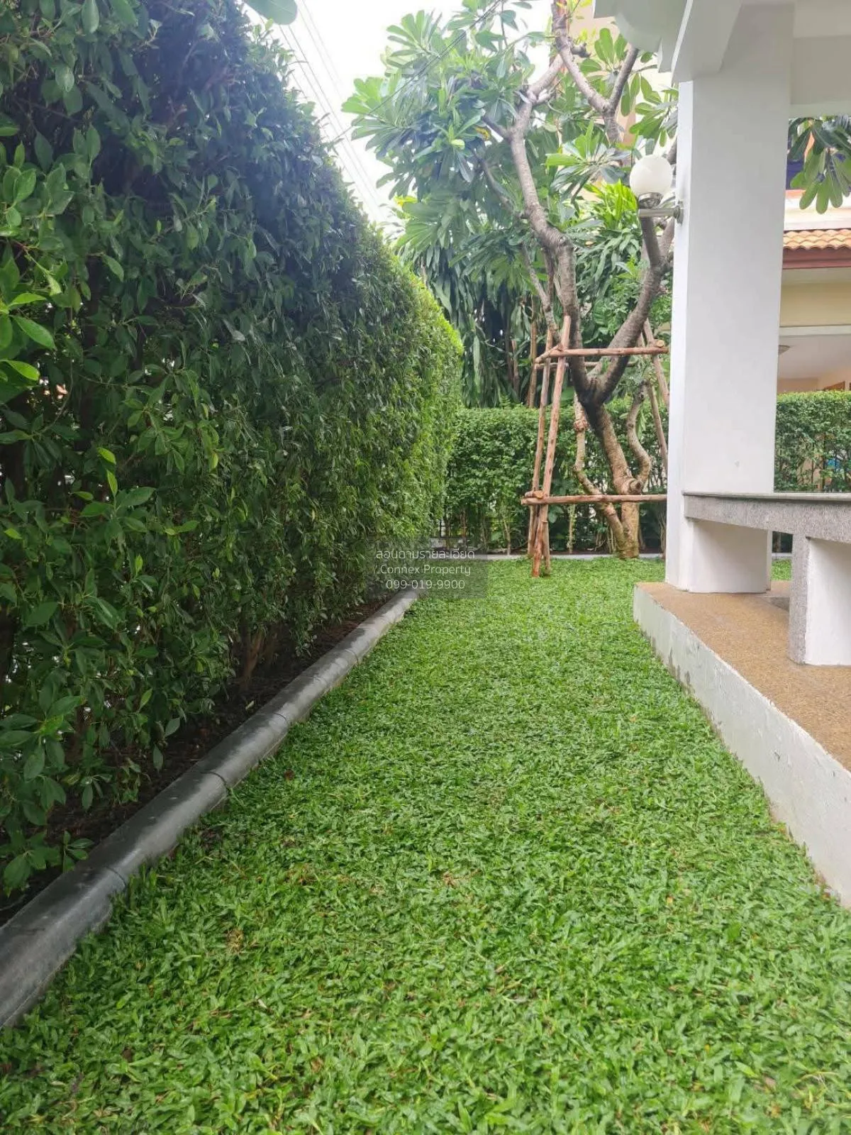 เช่าบ้าน  มัณฑนา ศรีนครินทร์ - บางนา บางแก้ว บางพลี สมุทรปราการ C 4