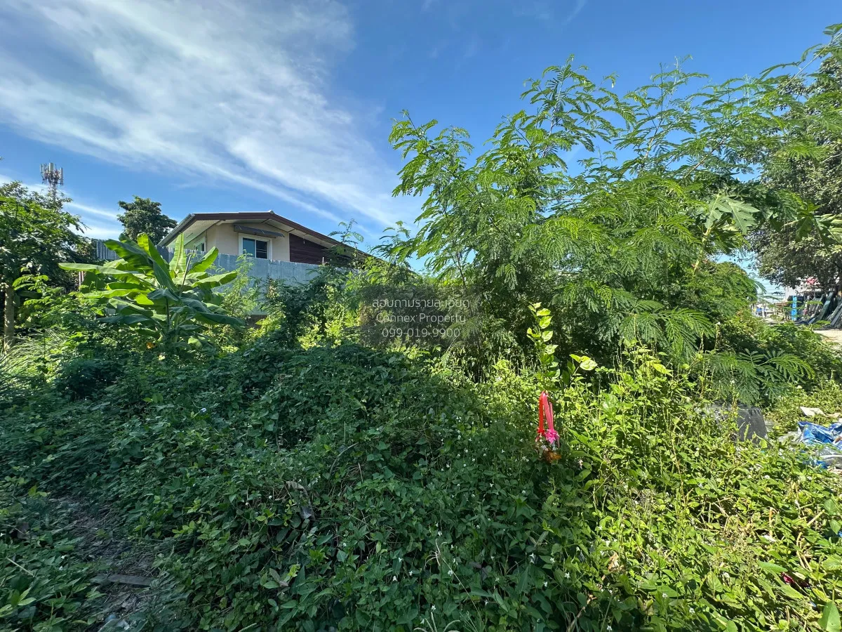 For Sale House and 2 rai of vacant land in Bang Si Mueng ,Nonthab