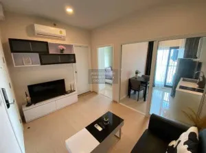 FOR RENT Condo , The Tree Sukhumvit 71 , ARL-Ramkhamhaeng , Suan Luang , Suan Luang , Bangkok , CX-81602