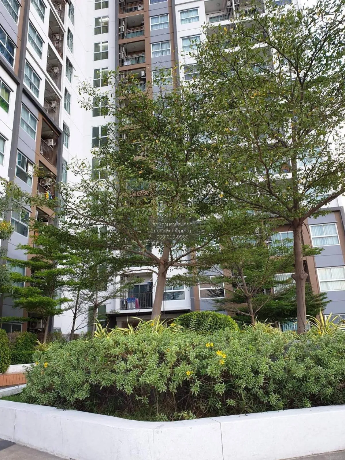 For Sale Condo , The Trust Condo Ngamwongwan , MRT-Nonthaburi Civ