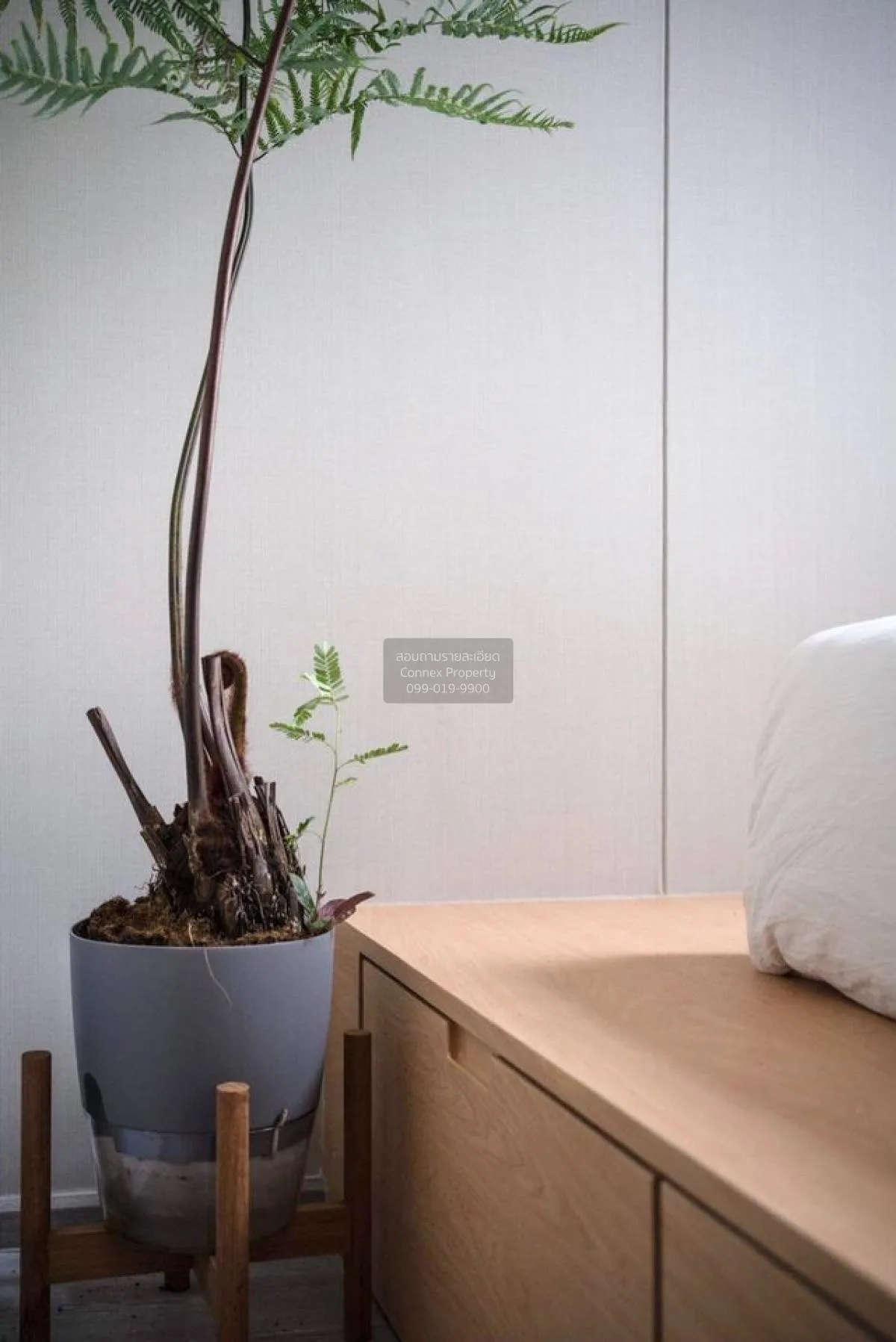 For Rent Condo , The line sukhumvit 101 , BTS-Punnawithi , Bang C