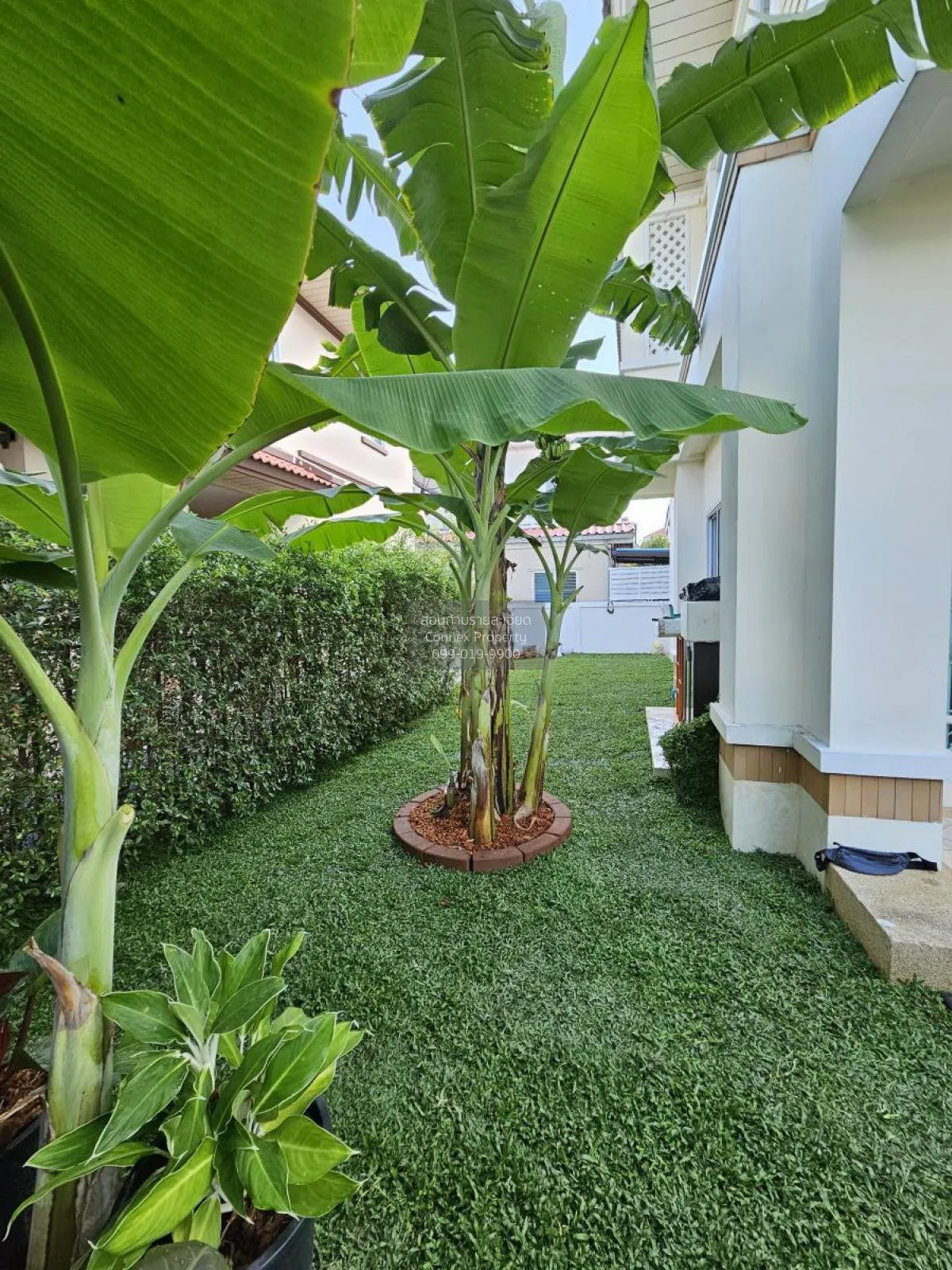 ขายบ้าน  มณีรินทร์ พาร์ค รังสิต บ้านกลาง เมืองปทุมธานี ปทุมธานี C