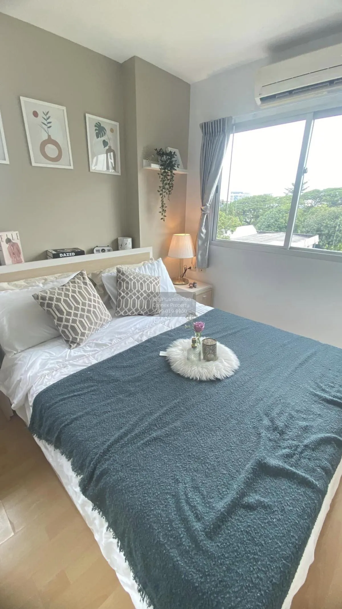 For Rent Condo , My Condo Sukhumvit 81 , BTS-On Nut , Bang Chak ,